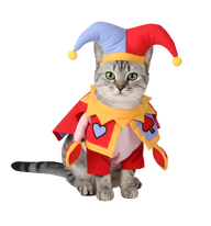Tato-Funny Pet Costume
