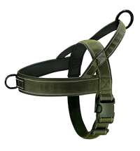 Axel-Outdoor Harness