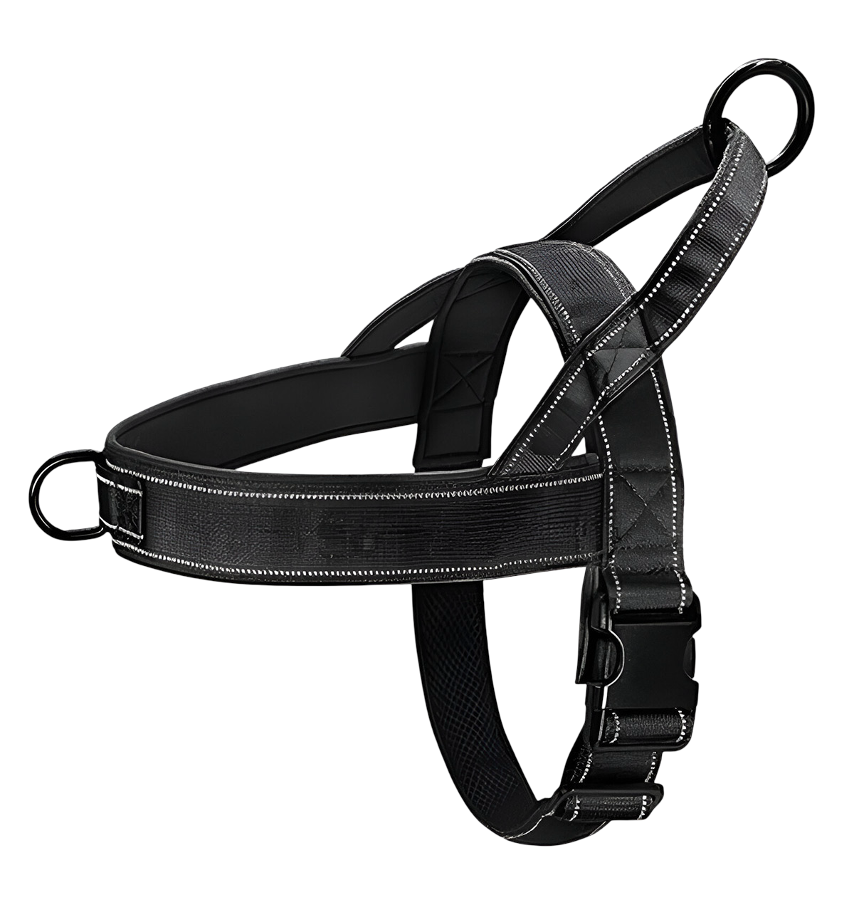 Axel-Outdoor Harness