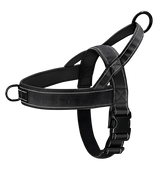 Axel-Outdoor Harness