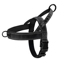 Axel-Outdoor Harness