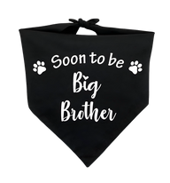 Ollie-Big Brother Scarf