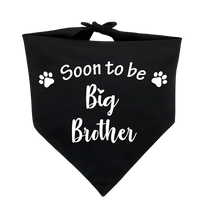 Ollie-Big Brother Scarf