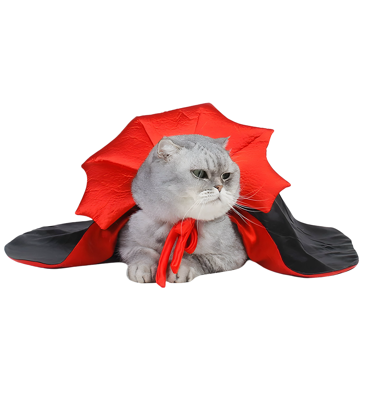 Luna-Dracula Cat Cape