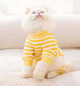 Milo-Stripe Pet Suit