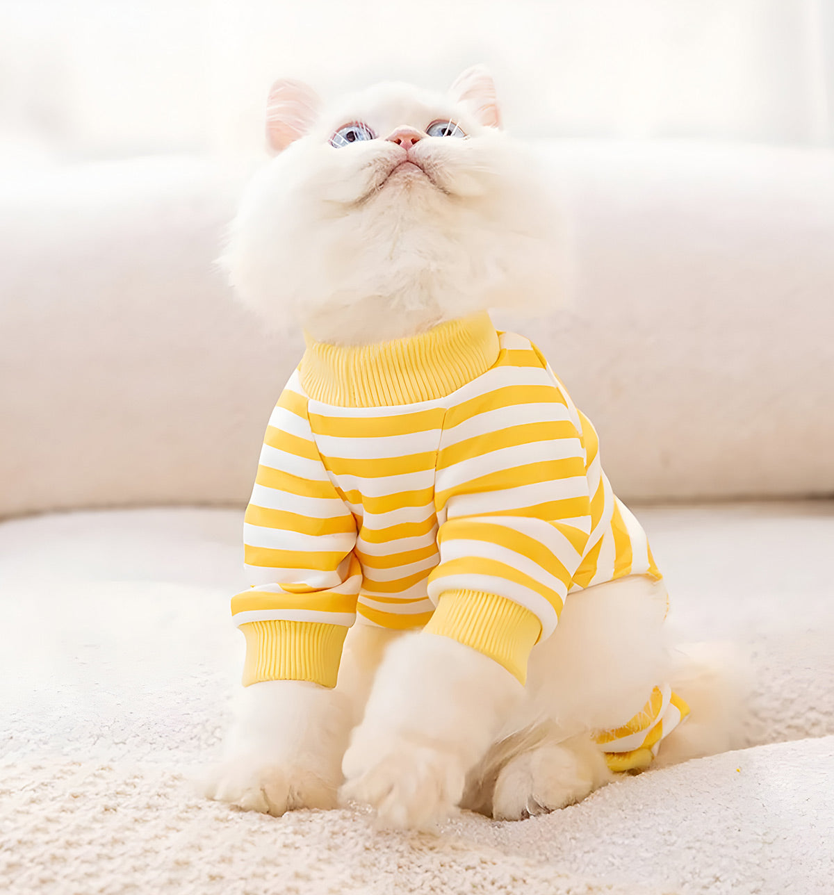 Milo-Stripe Pet Suit