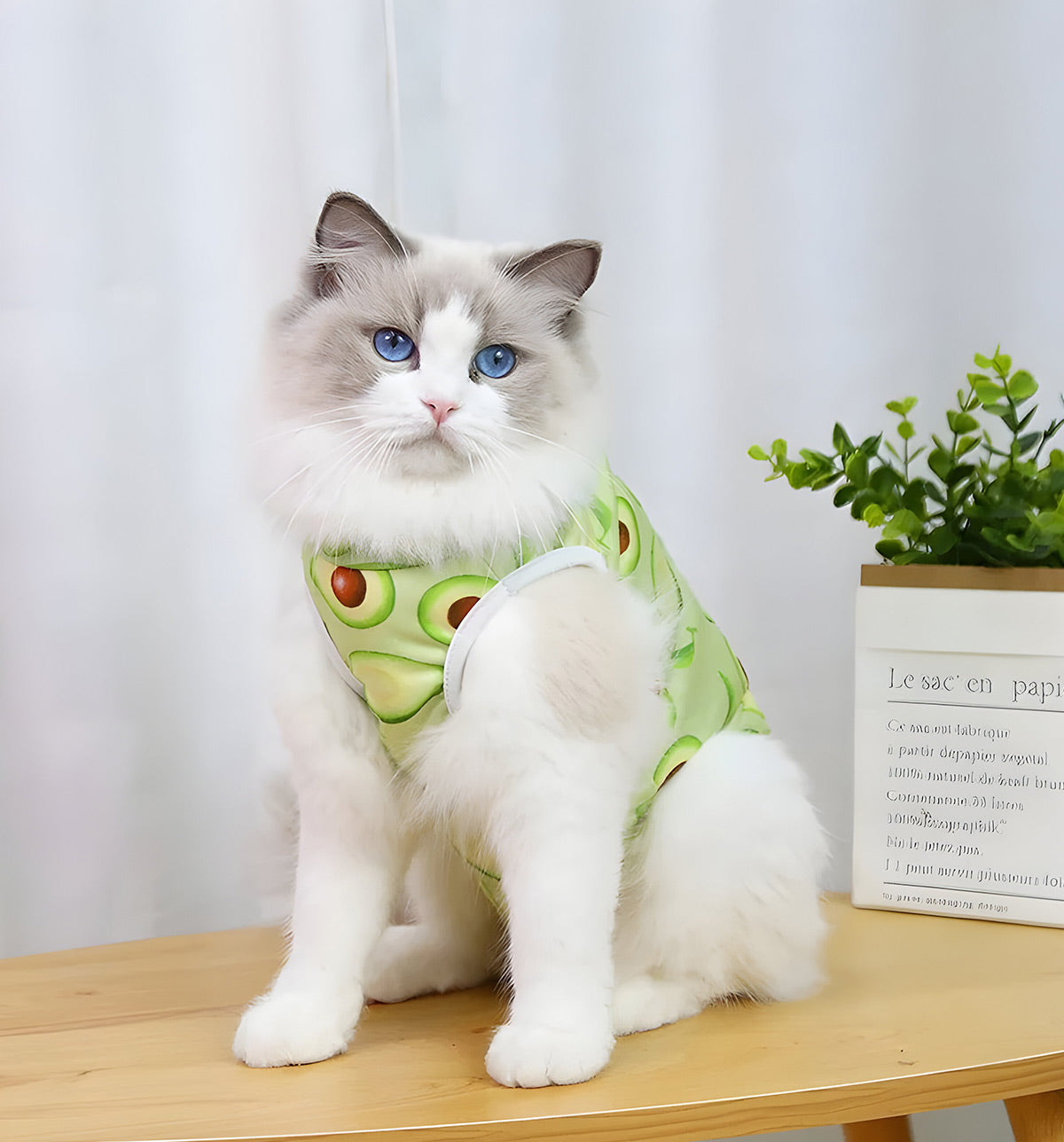 Mimi-Color Pet Shirt