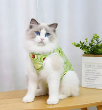 Mimi-Color Pet Shirt