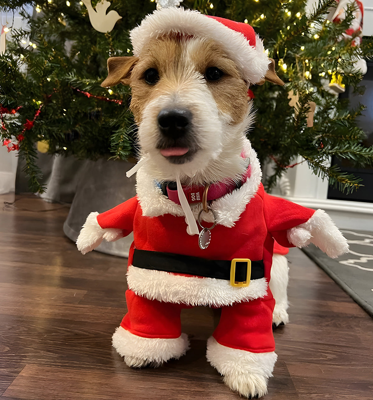 Trix-Christmas Pet Suit