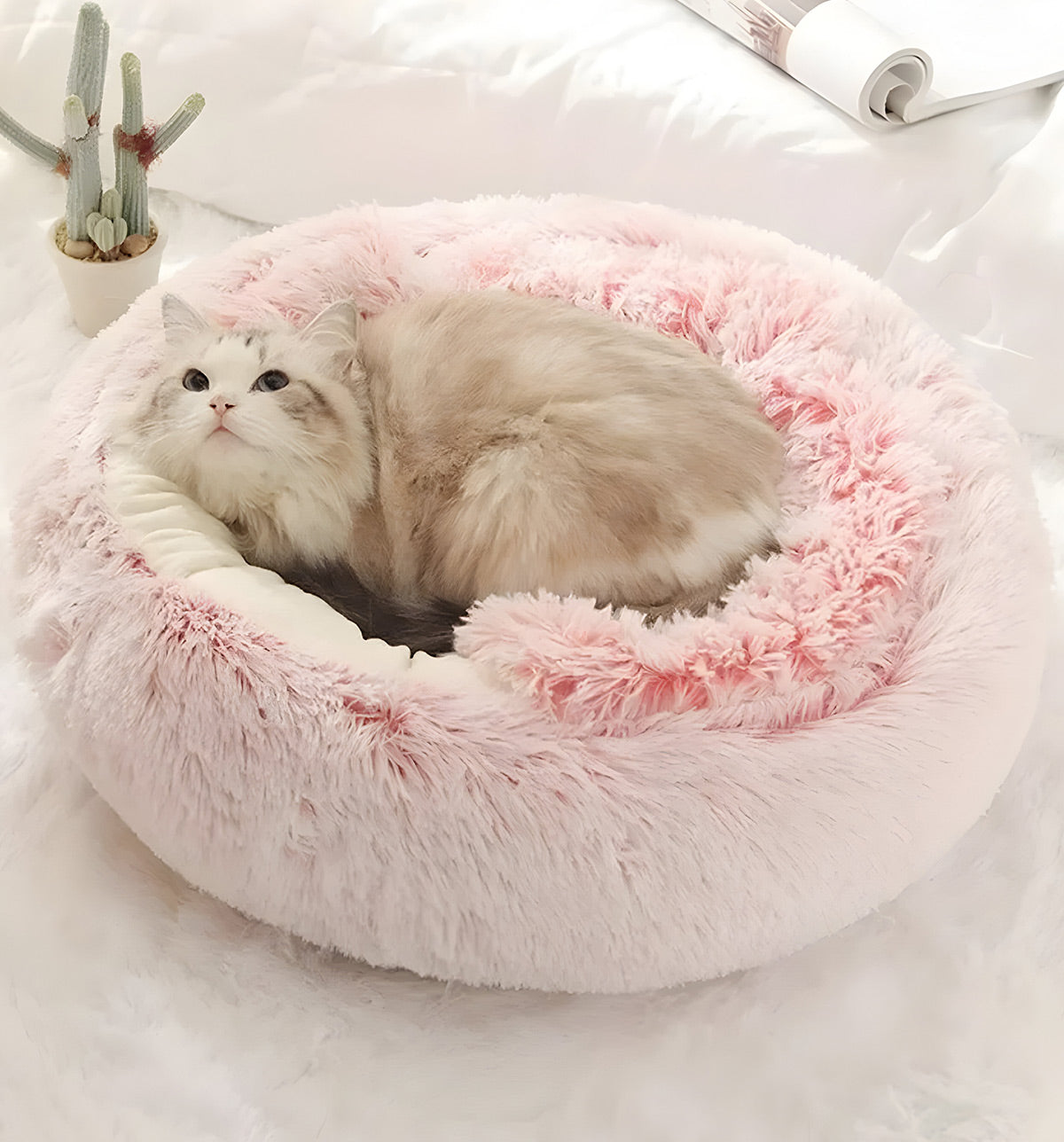 Miso-Fur Nest