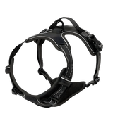 Rocky-Active Harness