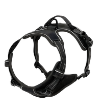 Rocky-Active Harness