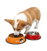 Coco-Dual Pet Bowl