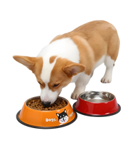 Coco-Dual Pet Bowl