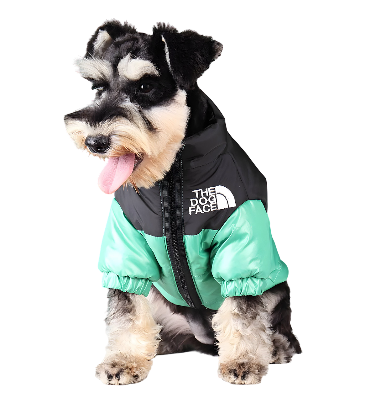 Zoly-Winter Pet Jacket