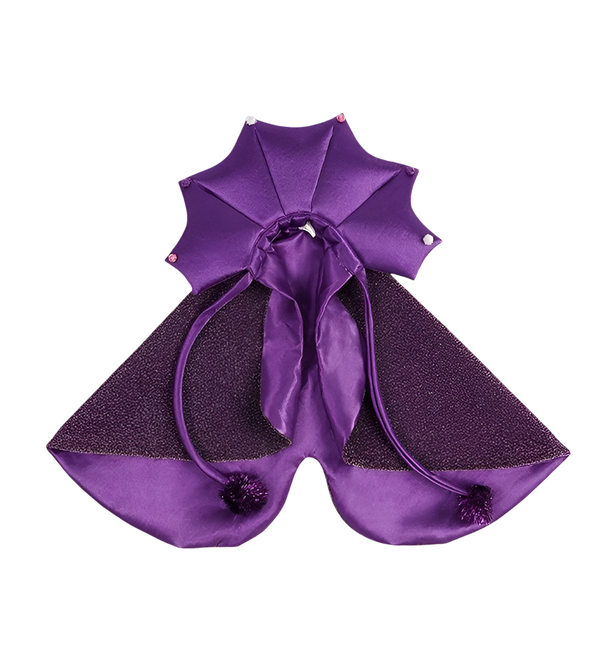 Witch Pet Costume