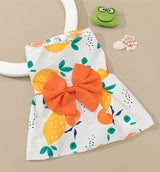 Lila-Daisy Pet Dress