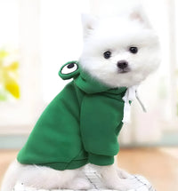 Lupy-Funny Frog Outfit