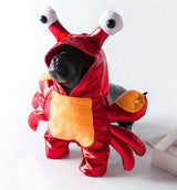 Kira-Crab Pet Costume