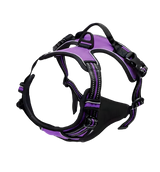 Rocky-Active Harness