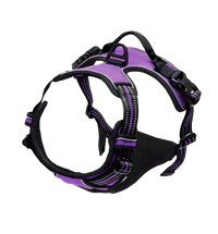 Rocky-Active Harness