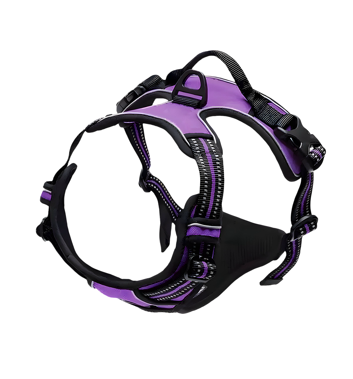 Rocky-Active Harness