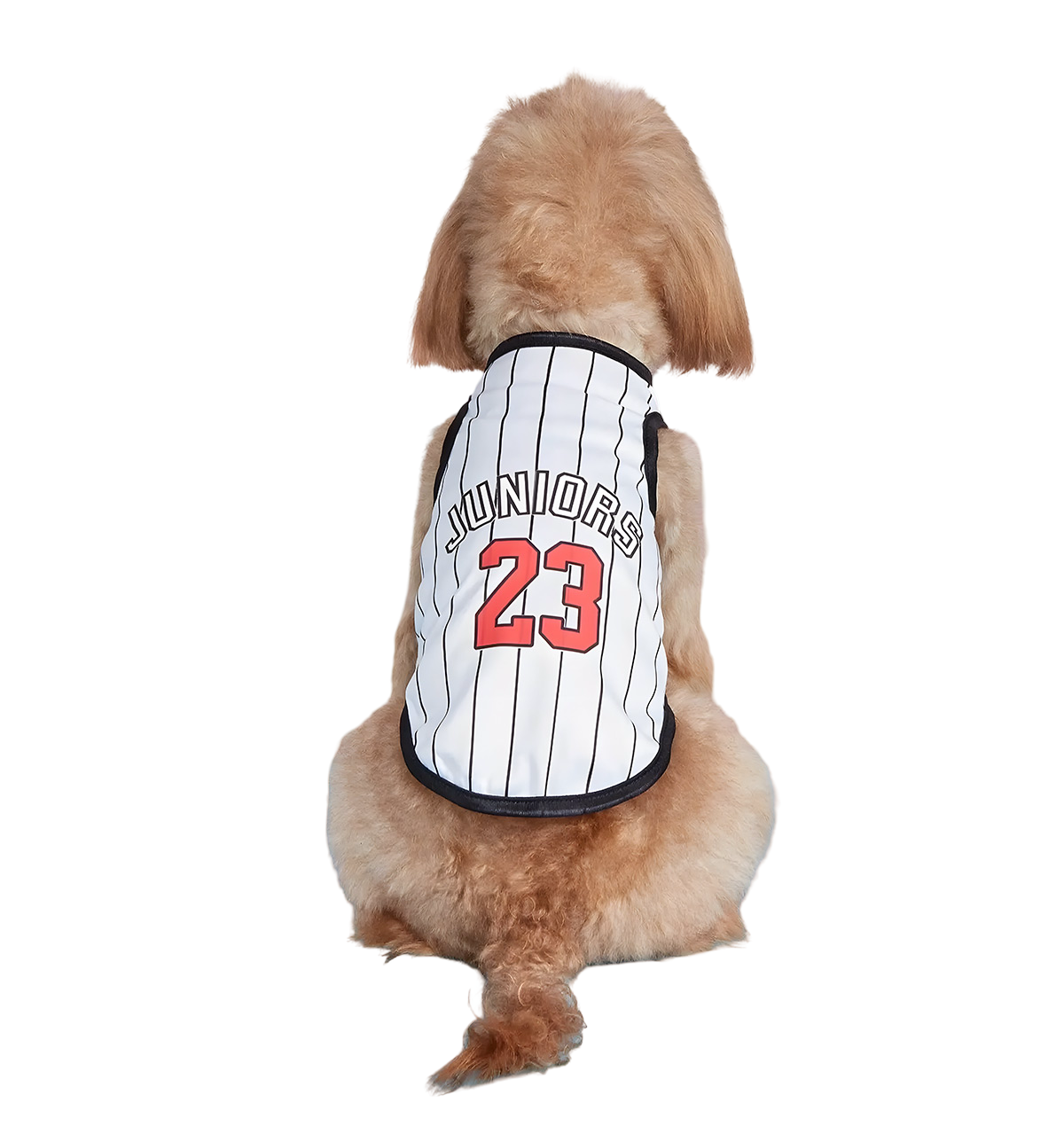Rex-Sport Pet Jersey
