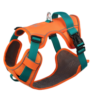 Milo-Active Harness