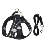 Luna-Mint Harness
