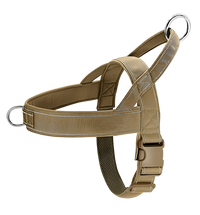 Axel-Outdoor Harness