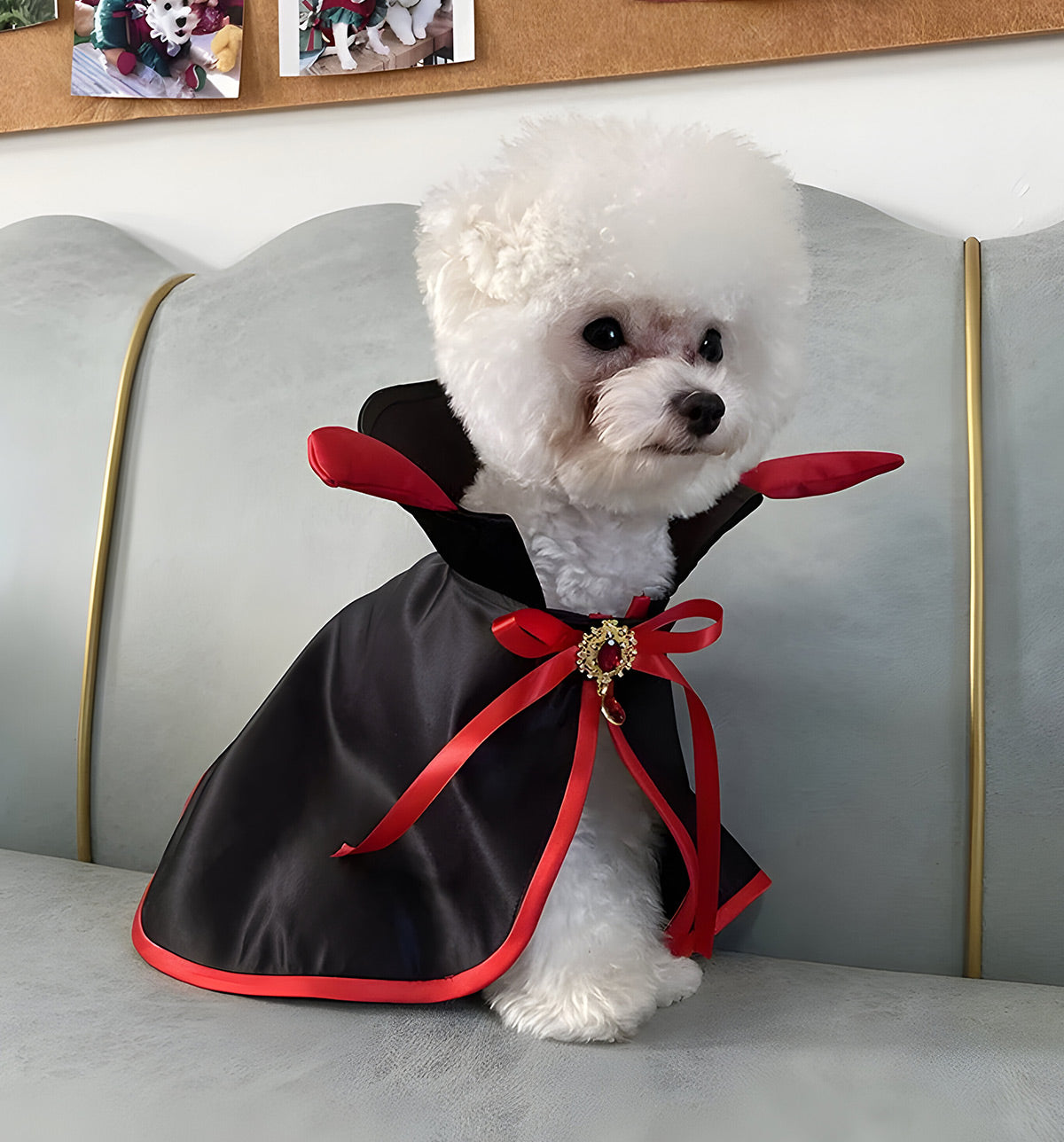 Vera-Vampire Pet Cape