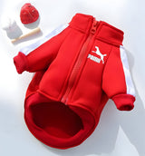 Rex-Sport Dog Hoodie