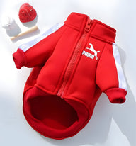 Rex-Sport Dog Hoodie