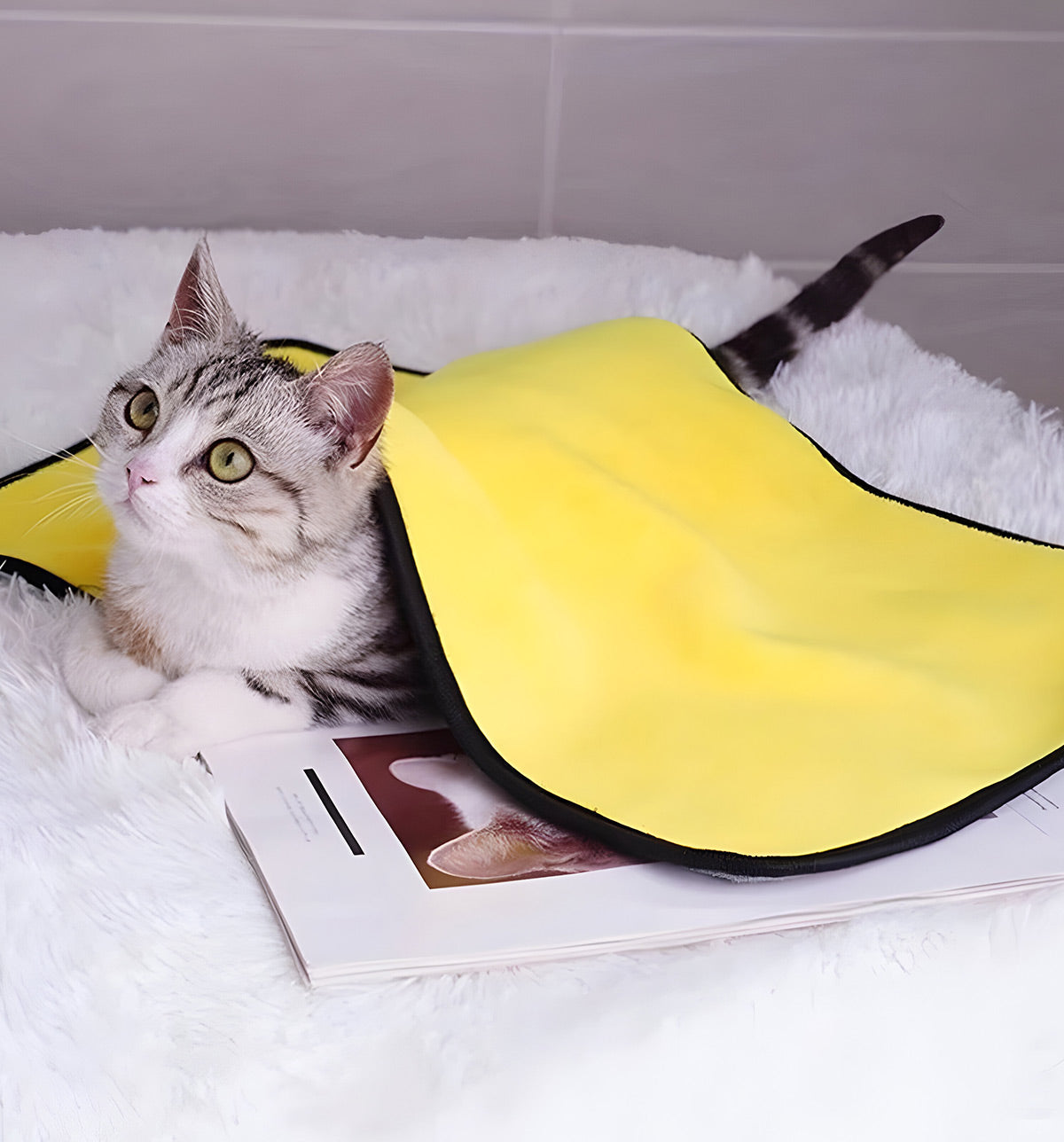 Lona-Sunny Pet Towel