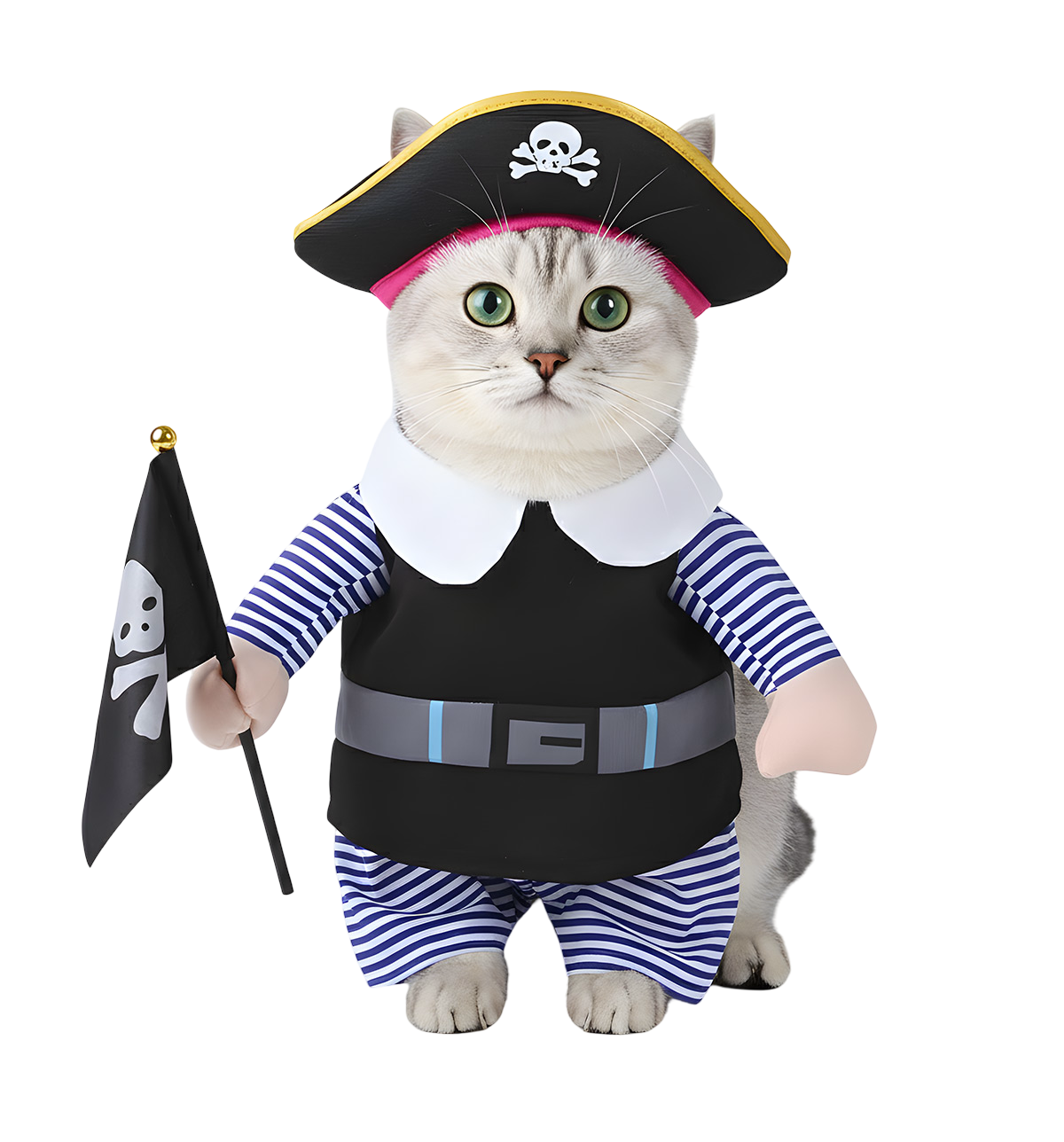 Tato-Funny Pet Costume