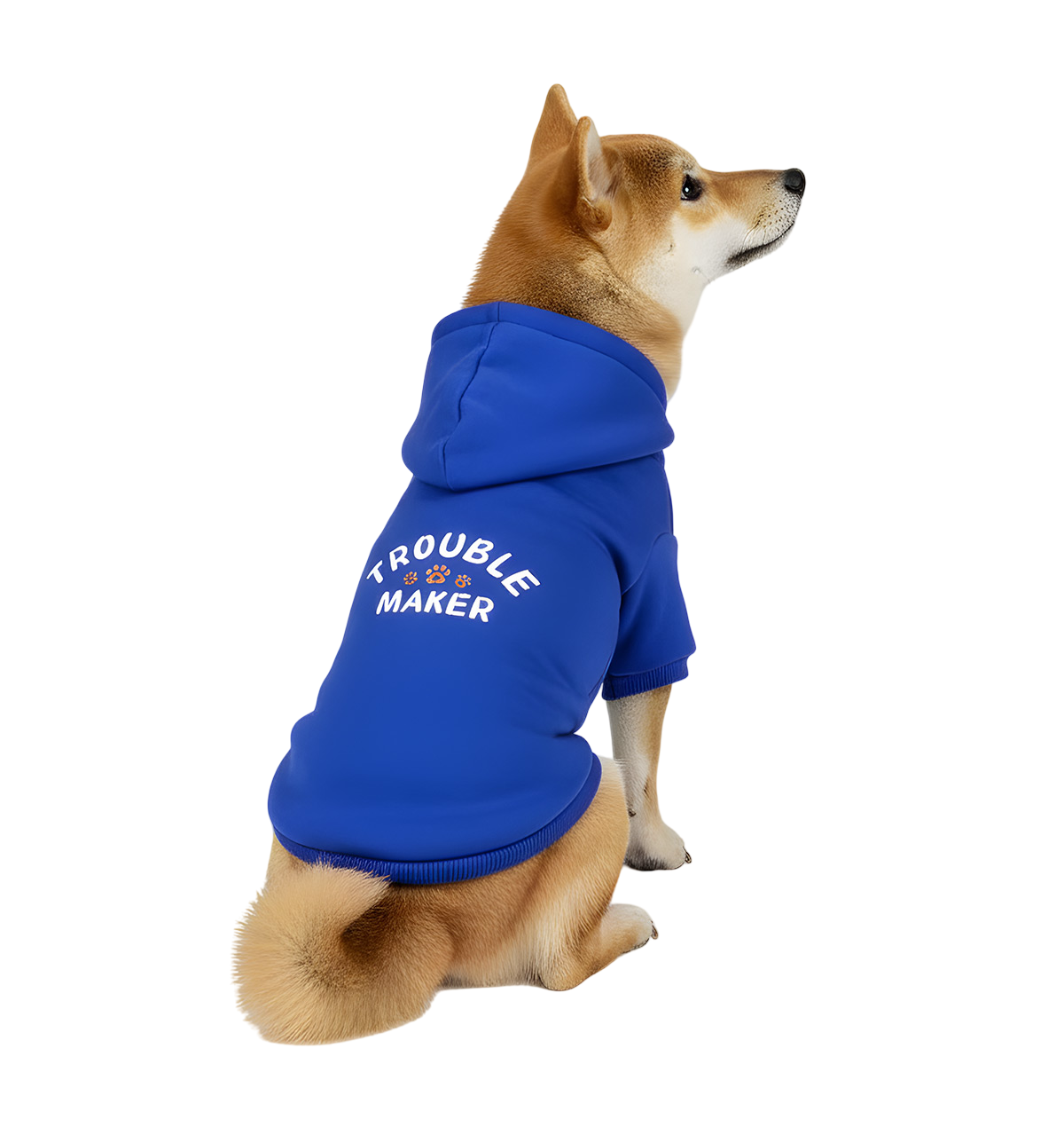 Taffy-Trouble Hoodie