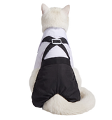 Tuxedo Cat Outfit