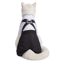 Tuxedo Cat Outfit