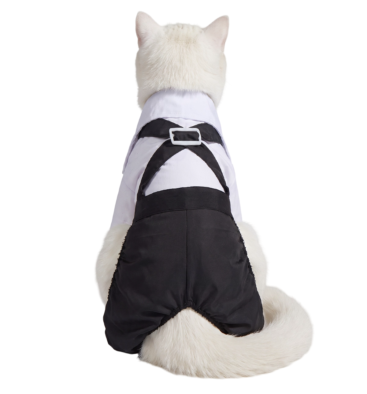 Tuxedo Cat Outfit