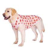 Summer Pet Vest