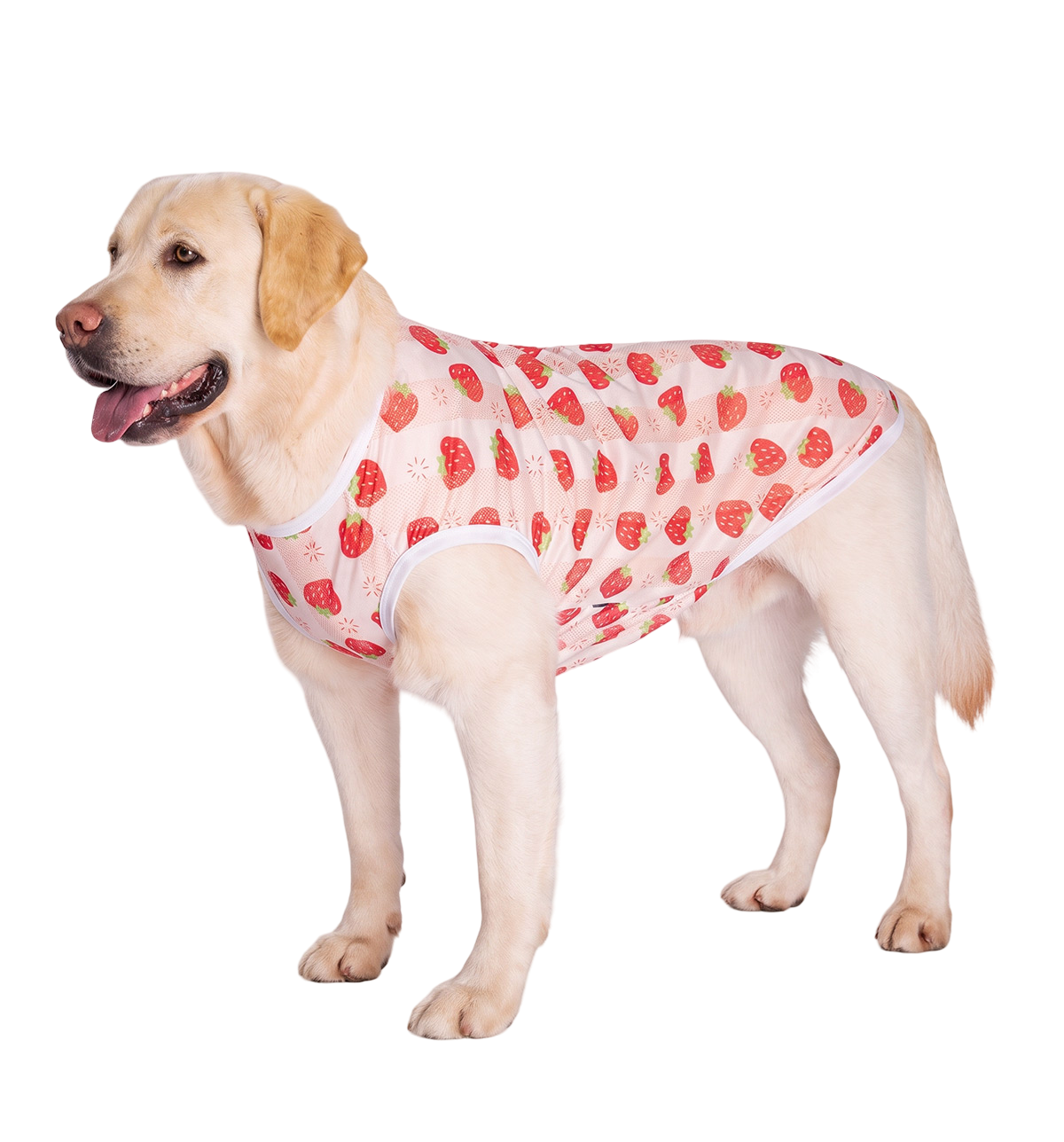 Summer Pet Vest