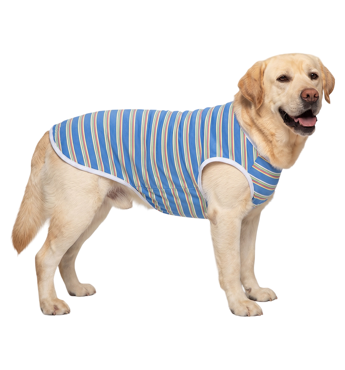 Striped Pet Tee