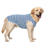 Striped Pet Tee