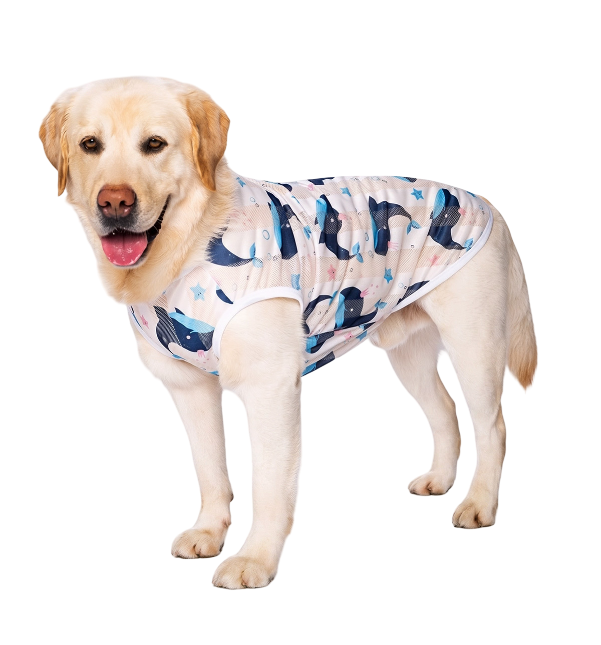 Summer Pet Vest