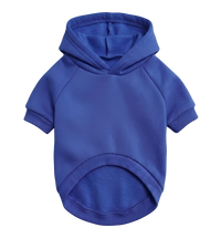 Urban Pet Hoodie