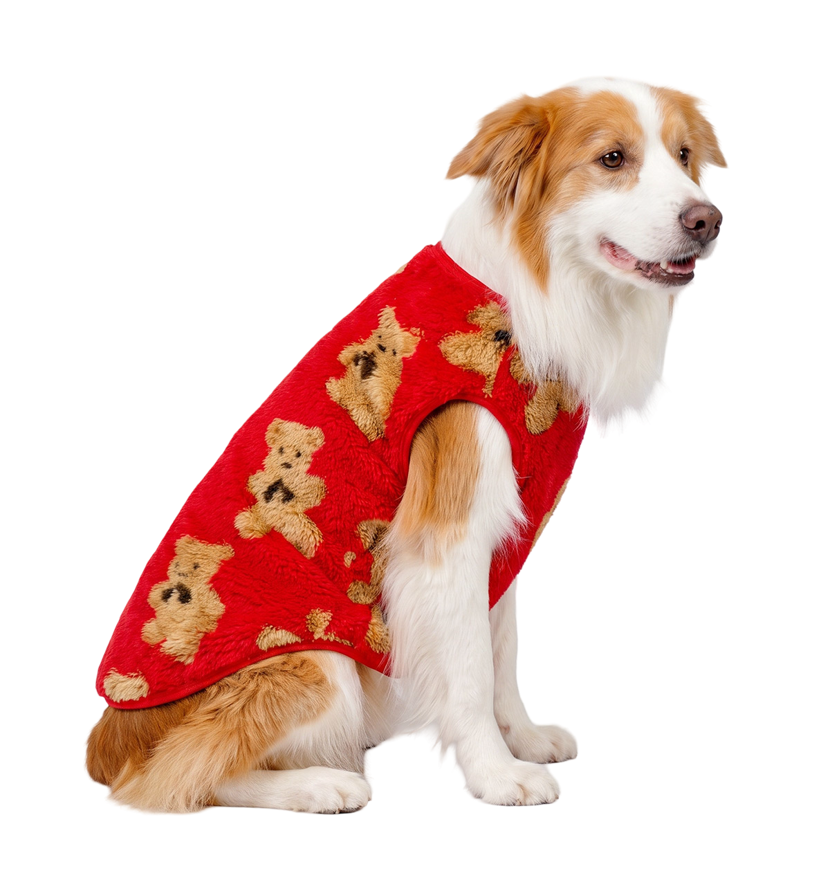 Teddy Pet Vest