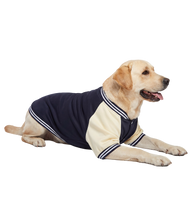 Varsity Pet Jacket