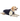 Varsity Pet Jacket