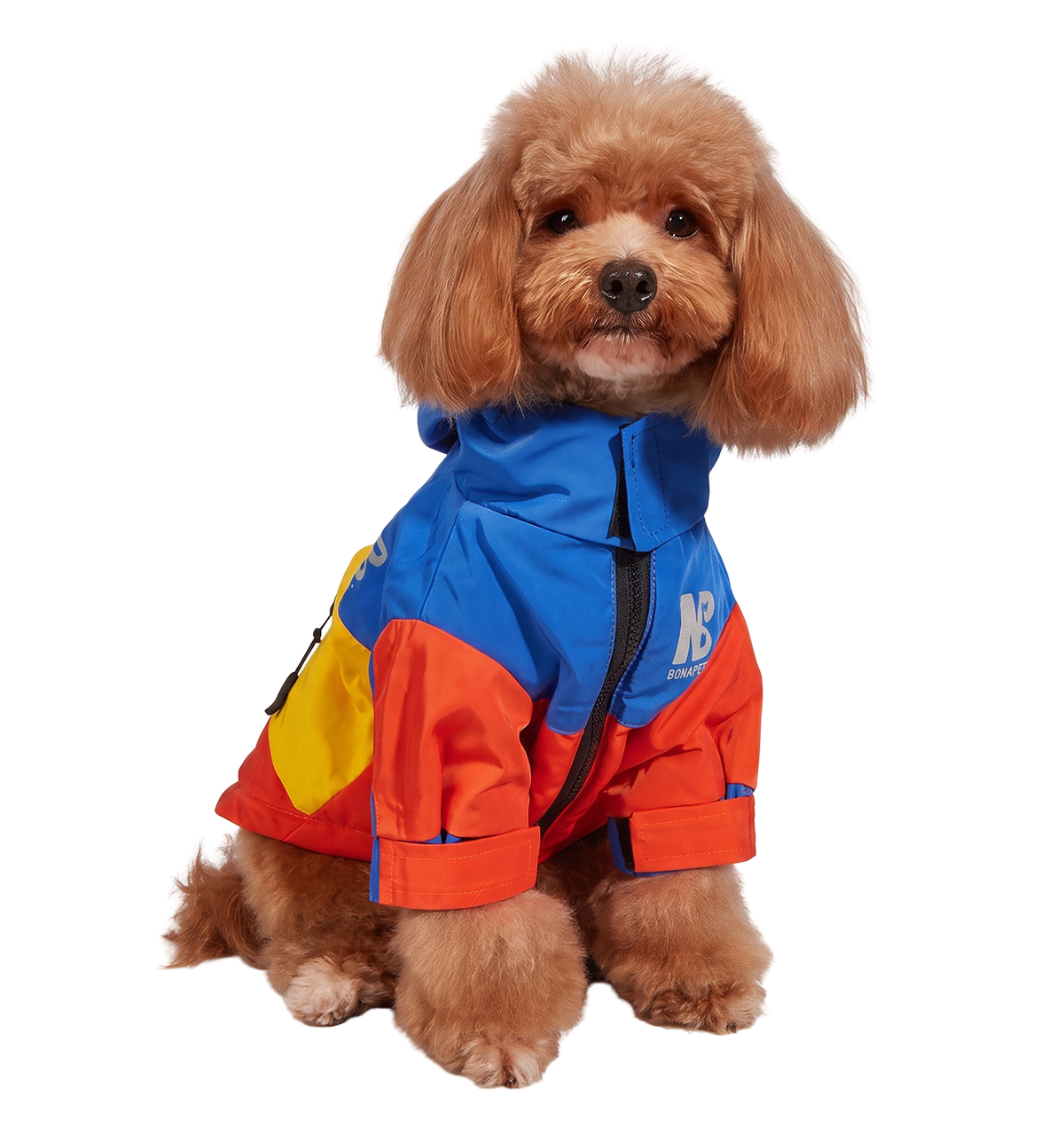 Waterproof Pet Jacket