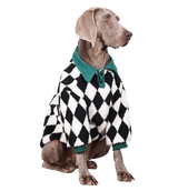 Harlequin Pet Polo